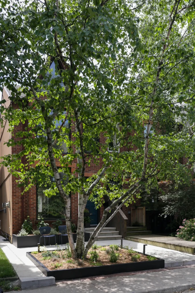 Front yard landscaping in Toronto with raised planter bed, mature tree, modern stone walkway, and soft landscape lighting in front of brick home