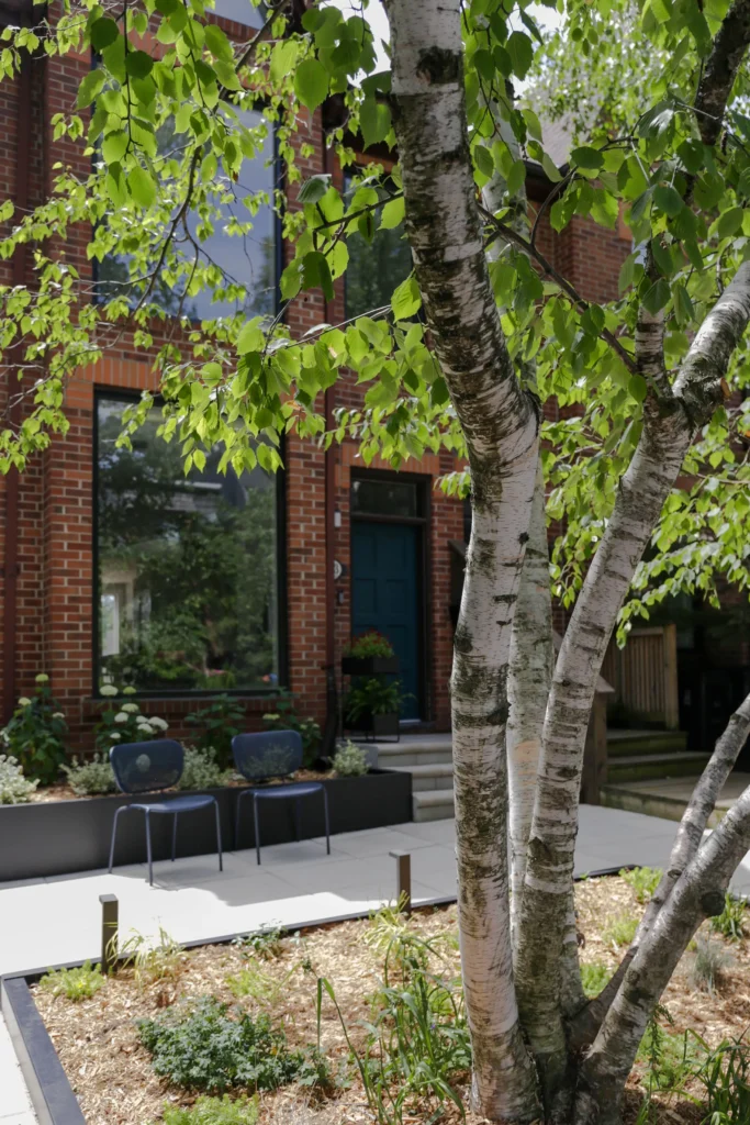 Front yard landscaping in Toronto with modern concrete walkway, raised steel-edged garden beds, mature tree canopy, and low-profile landscape lighting in front of brick home