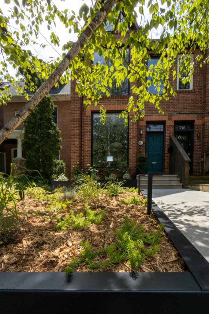 Front yard landscaping in Toronto with modern concrete walkway, raised steel-edged garden beds, mature tree canopy, and low-profile landscape lighting in front of brick home