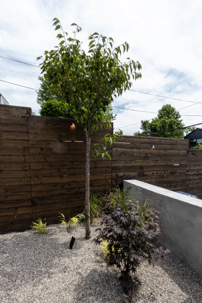 Backyard landscaping detail with gravel ground cover, ornamental trees, modern wood privacy fence, and integrated landscape lighting in Toronto